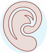 如何预防遗传性听力损失？
